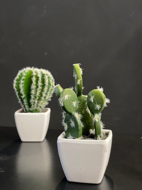 CACTUS IN POT WHITE COLOUR, SIZE 55X55X50MM, TOTAL HEIGHT APPROXIMATELY 115MM