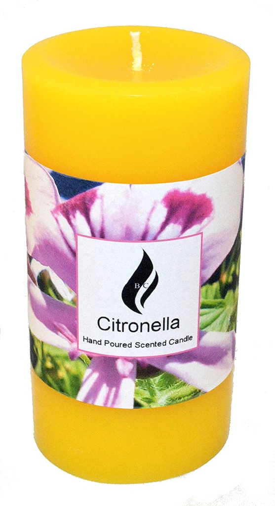 Citronella Pilar Candle 15cm Assorted