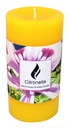 Citronella Pilar Candle 15cm Assorted