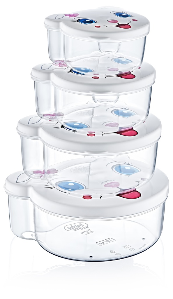 4 PCS ZOO STORAGE BOX