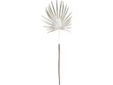 BRANCH GLITTER PALM, PLASTIC, SIZE: 56CM, CHAMPAGNE COLOR/ 56X1X1MM, HANGTAG
