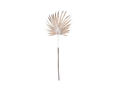 BRANCH GLITTER PALM, PLASTIC, SIZE: 56CM, BROWN COLOR/ 56X1X1MM, HANGTAG