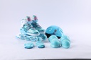 Inline Skate set DCB21570-Q FROZEN