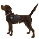 UD DOG VEST SM BLACK