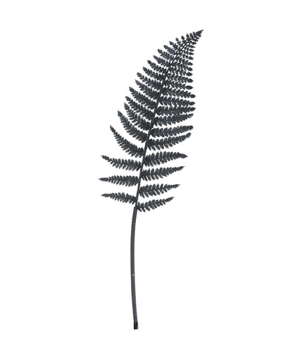 [1000336] BRANCH WITH GLITTER AND LEAVES, PLASTIC AND METAL WIRE. SIZE: 80CM. IN DARK BLUE COLOR.